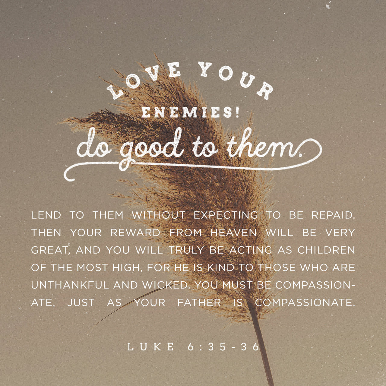 Verse Of The Day Luke Kjv Highland Park Baptist Church