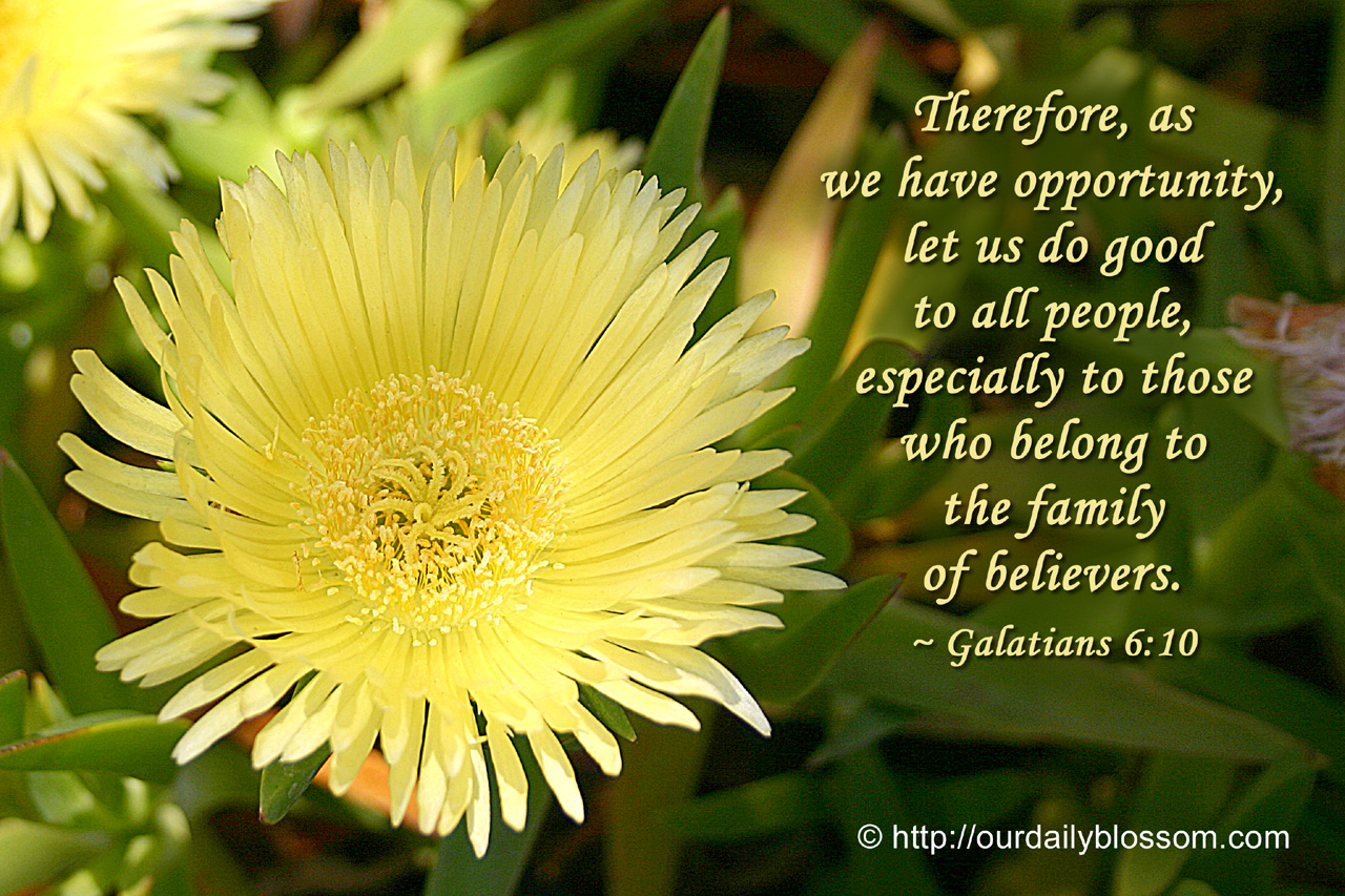 Galatians 6:10 Therefore, as we have opportunity, let us do good