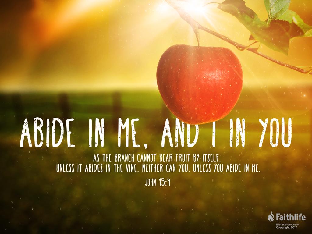 Verse Of The Day John 15 4 Kjv Highland Park Baptist Church