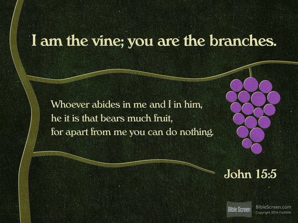 Verse Of The Day John 15 5 Kjv Highland Park Baptist Church