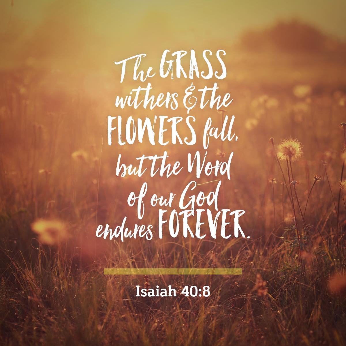 Isaiah 40 8 - Highland Park Baptist Church - Lenoir City, Tennessee