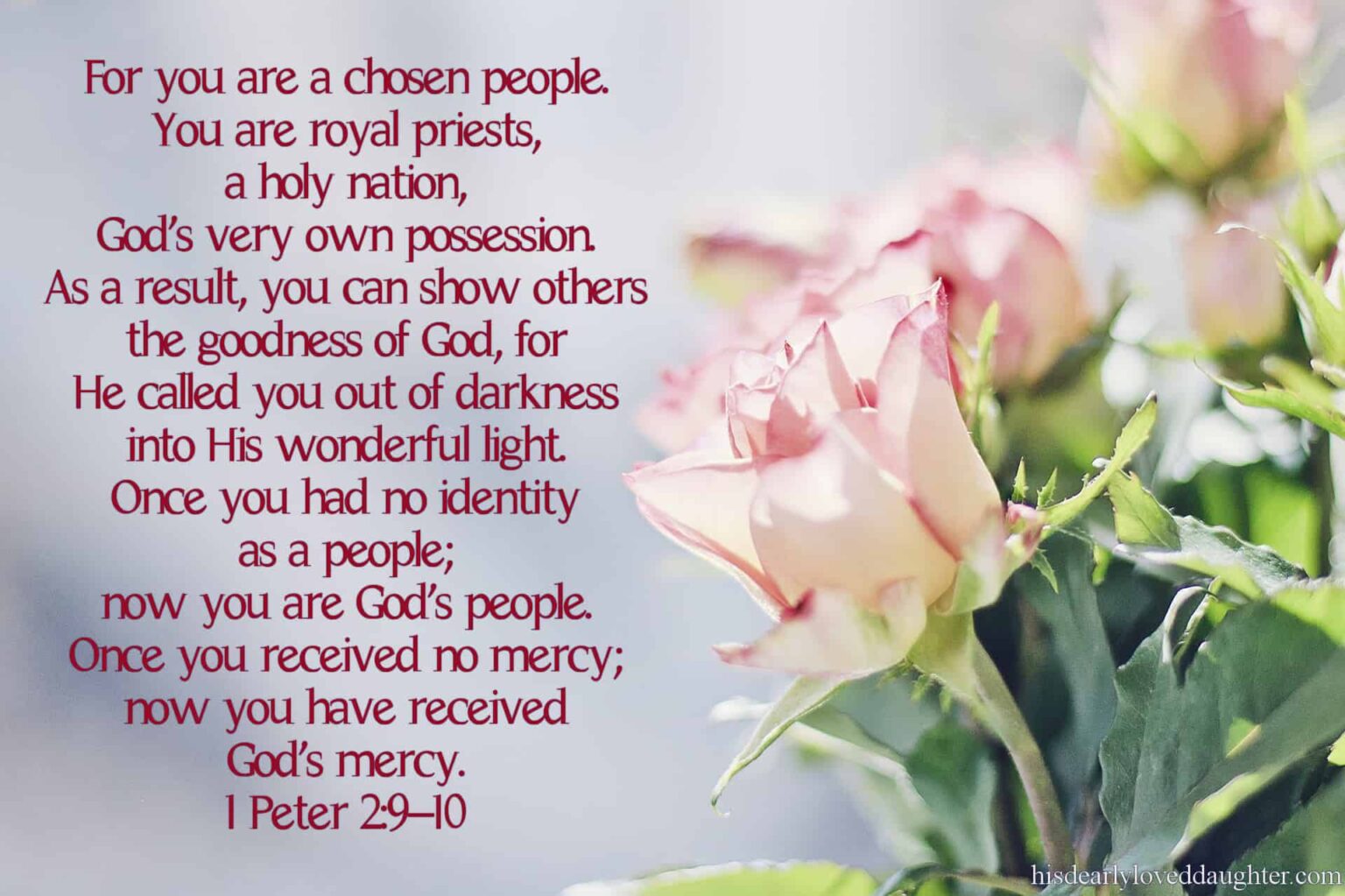 verse-of-the-day-1-peter-2-9-10-kjv-highland-park-baptist-church